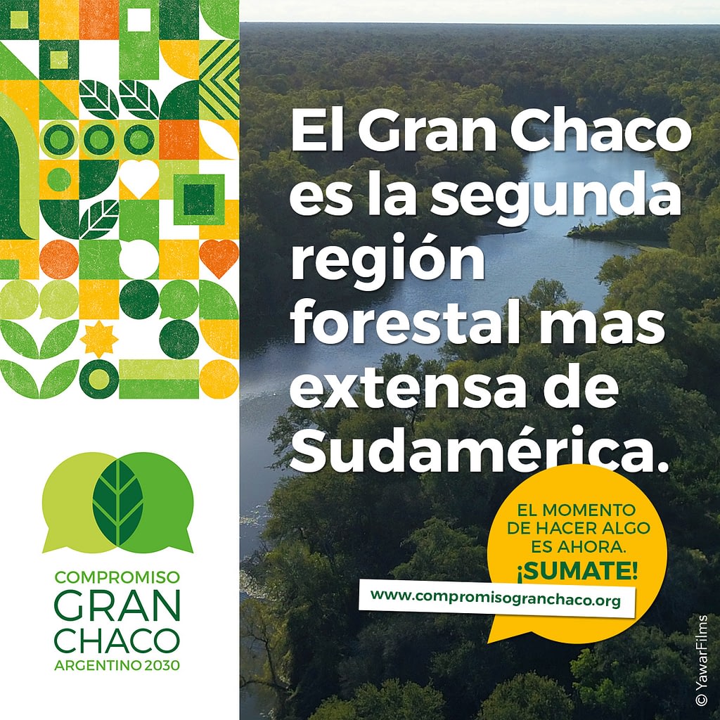 El Gran Chaco es la segunra región forestal mas extensa de Sudamérica