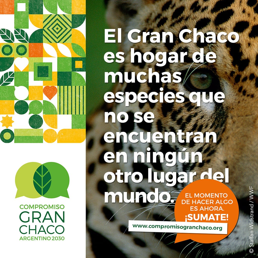 El Gran Chaco es hogar de muchas especies que no se encuentran en ningun otro luar del mundo